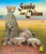 Sueño con chitas (Cheetah Dreams) (Spanish Edition) by Linda Stanek, Shennen Bersani, 9781607187479