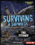 Surviving a Shipwreck (The Titanic) by Buffy Silverman, 9781541523524