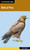 Birds of Prey - 9781493002238 by Todd Telander, 9781493002238