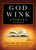 Godwink Stories (A Devotional) by SQuire Rushnell, 9781451678635