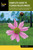 Complete Guide to Florida Wildflowers by Roger L. Hammer, 9781493030934 Complete Guide to Florida Wildflowers by Roger L. Hammer, 9781493030934