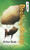 Death by Airship by Arthur Slade, 9781459818705