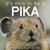 It's Nice to Be a Pika by Molly Woodward, Tom and Pat Leeson, 9781597143363
