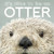 It's Nice to Be an Otter by Molly Woodward, Tom and Pat Leeson, 9781597143356