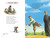 Becoming Babe Ruth by Matt Tavares, Matt Tavares, 9780763656461