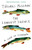 The Longest Silence (A Life in Fishing) by Thomas McGuane, 9780525565307