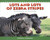 Lots and Lots of Zebra Stripes by Stephen R. Swinburne, Stephen R. Swinburne, 9781563979804