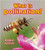 What is pollination? by Bobbie Kalman, 9780778733065