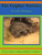 Gopher Tortoise (A Life Story) - 9781561643035 by Ray E Ashton, 9781561643035