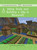 Using Tools and Building a City in Minecraft (Technology) - 9781534139695 by Adam Hellebuyck, Mike Medvinsky, 9781534139695