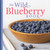 The Wild Blueberry Book by Virginia M. Wright, 9780892729395