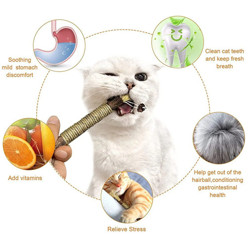 Cat Silvervine Chewing Stick - JCEE Shop
