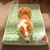 Dog Bed Padded Cushion-Large - JCEE Shop