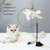 Cat Wand Toy - JCEE Shop