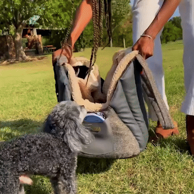 dog purse carrier for small dogs