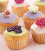 eBook Celebrating Cupcakes & Muffins