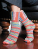 Leisure Arts Socks For The Family Crochet eBook