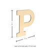 Essentials By Leisure Arts Wood Letter 9.5" Birch P