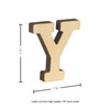 Essentials By Leisure Arts Wood Letter 1.75" Birch Y