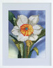 Leisure Arts Dye-Namic Cross Stitch Spring Daffodil ePattern