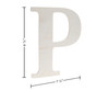 Good Wood By Leisure Arts Letter 9.5" Birch P