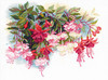 Riolis Cross Stitch Kit Fuchsia