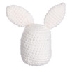 Leisure Arts Crochet Kit Amigurumi Pudgies Basil Bunny