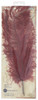 Manuscript Dip Pen Decorative Quill Burgundy