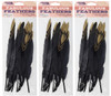 Essentials By Leisure Arts Bundle Painted Feathers Black/Gold 30pc