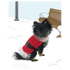 Leisure Arts Oodles of Outerwear For Canines Knit Book