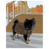 Leisure Arts Oodles of Outerwear For Canines Knit Book