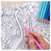 Leisure Arts Walking With Flamingos Coloring Book
