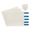 LEA Holiday Ornament Kit wbook 50 frames AidaCloth