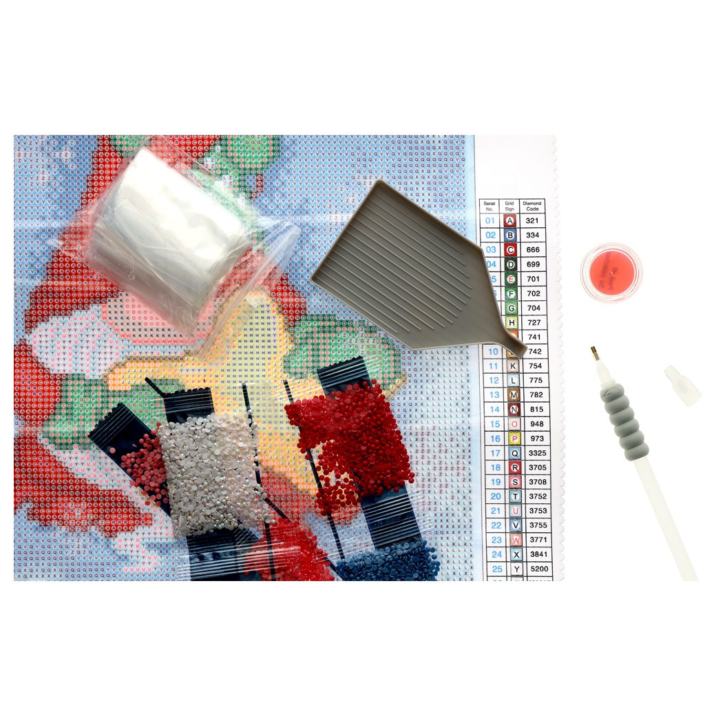 Diamond Art Kit inch x 16 inch Intermediate Red Gnome - Leisure Arts