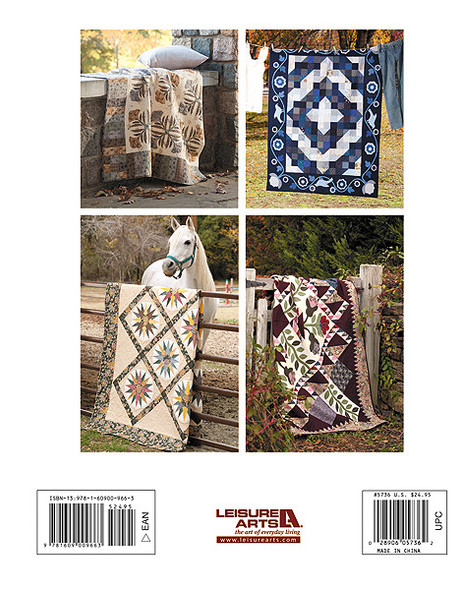 eBook Quilts to Warm Today's Home