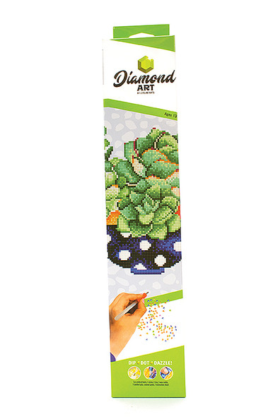 Diamond Art Kit 12"x 12" Intermediate Succulent Bowl