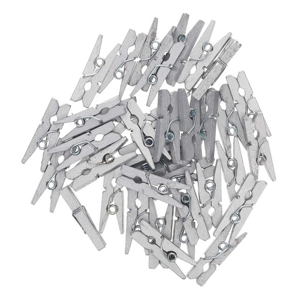 Essentials By Leisure Arts Clothespins 1 inch Mini Silver 108pc
