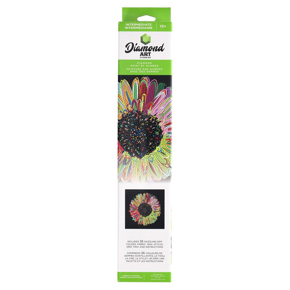 Diamond Art Kit Intermediate 12 inch x 12 inch Rainbow Daisy