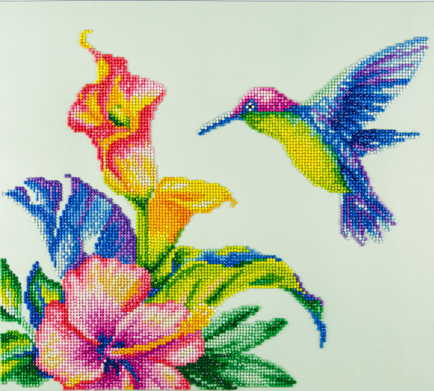 Diamond Art Kit 16"x 14" Advanced Hummingbird