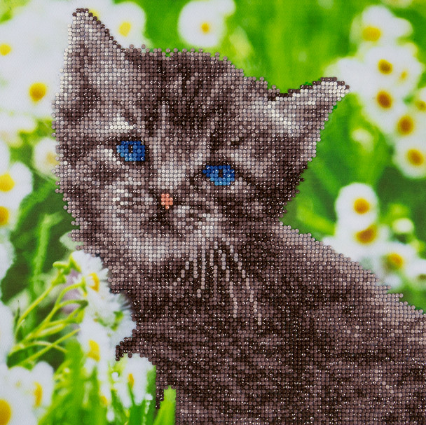 Diamond Art Kit 12"x 12" Intermediate Kitten