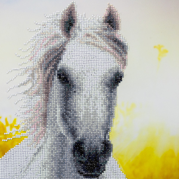 Diamond Art Kit 12"x 12" Intermediate White Horse