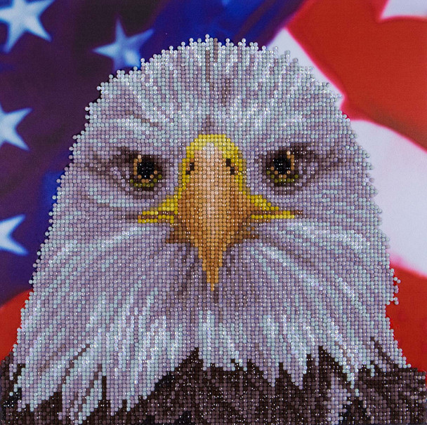 Diamond Art Kit 12"x 12" Intermediate Bald Eagle