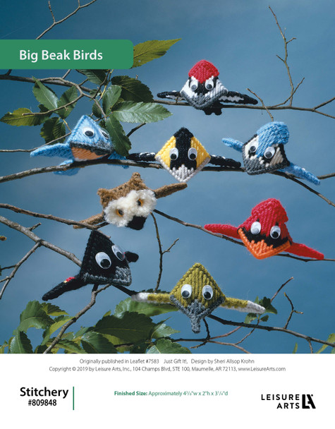 Leisure Arts Just Gift It! Big Beak Birds Plastic Canvas ePattern