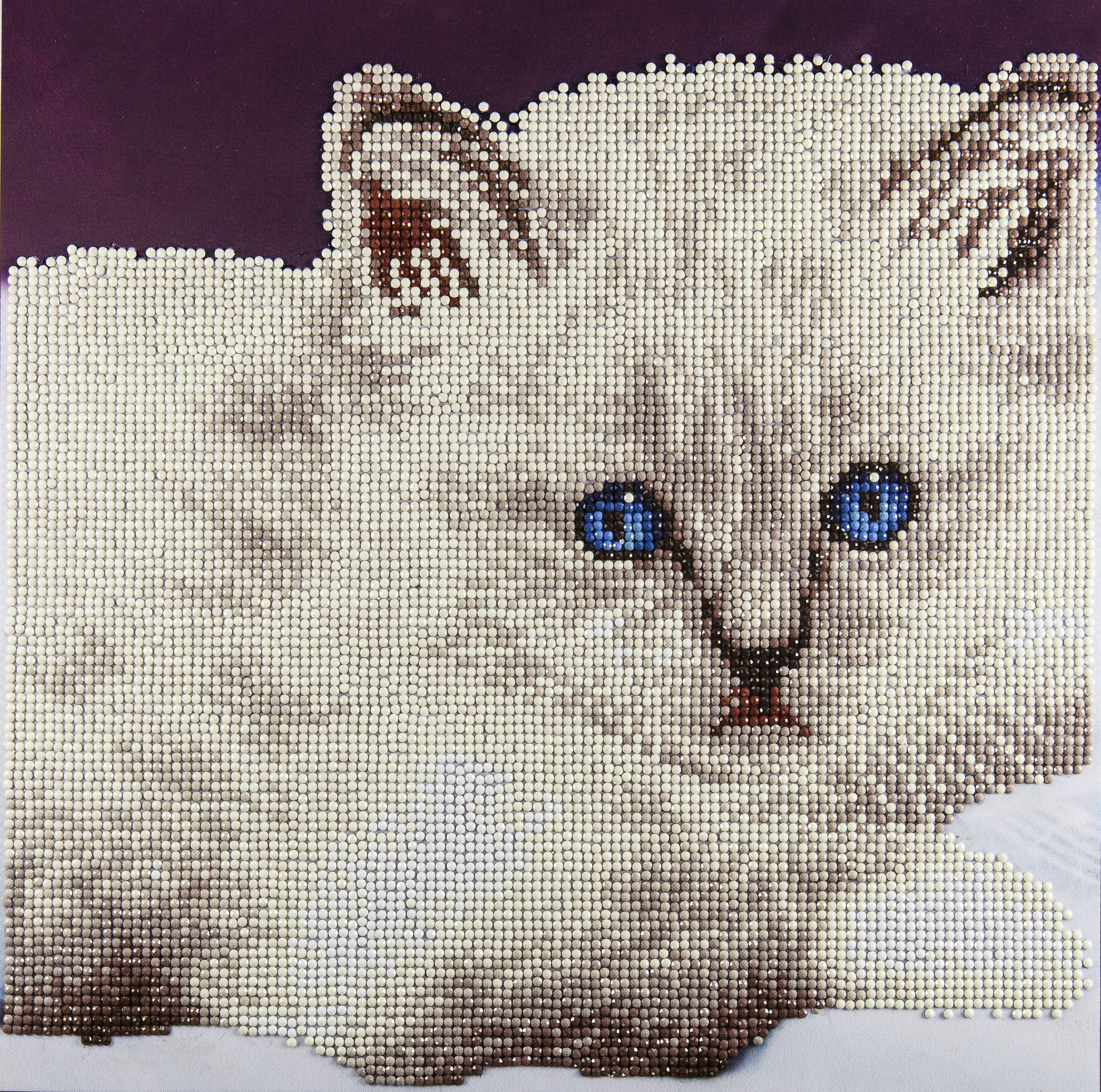 Diamond Painting White Cat And Pink Flowers – Diamonds Wizard