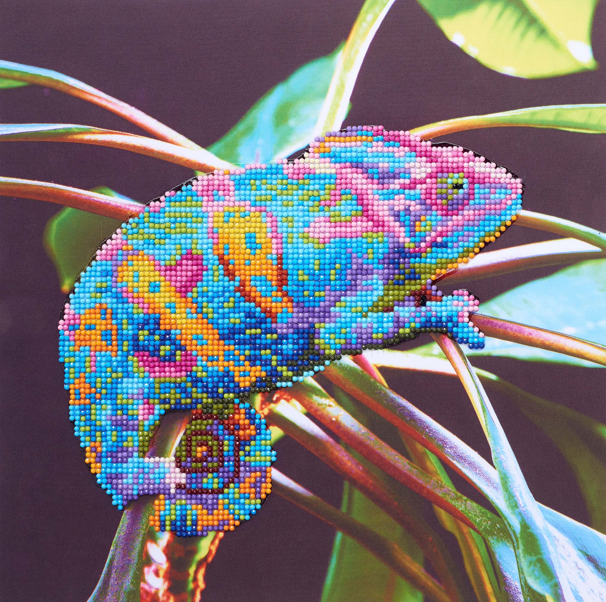 Panther Chameleon – Diamond Art Club