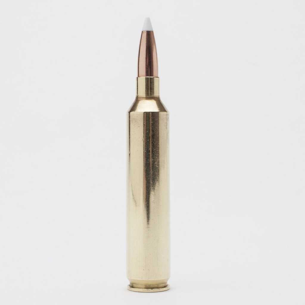 Nosler Trophy Grade Long Range 26 Nosler