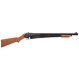 DAISY 25 PUMP BB GUN