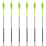 Black Eagle Talon Crested Arrows 6 Pack