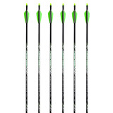 Black Eagle Deep Impact Arrows 6 Pack