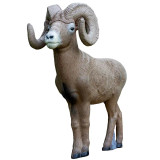 Rinehart 1/2 Scale Signature Bighorn Sheep Rinehart 1/2 Scale Signature Bighorn Sheep